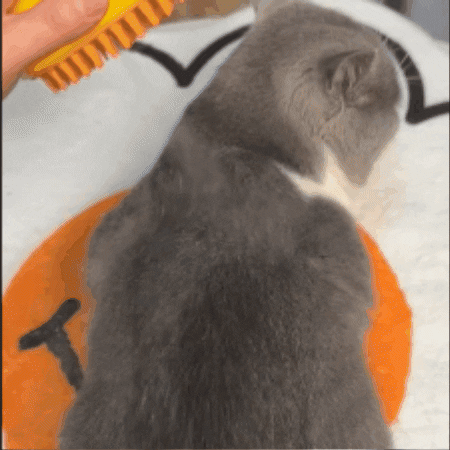 Cepillo de vapor para mascotas